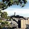 E:\sapna proj\finalbaseballproject\sanfran---GIANTS\coittower.jpg